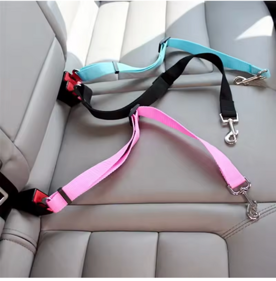 Dog Seat belt and car safety